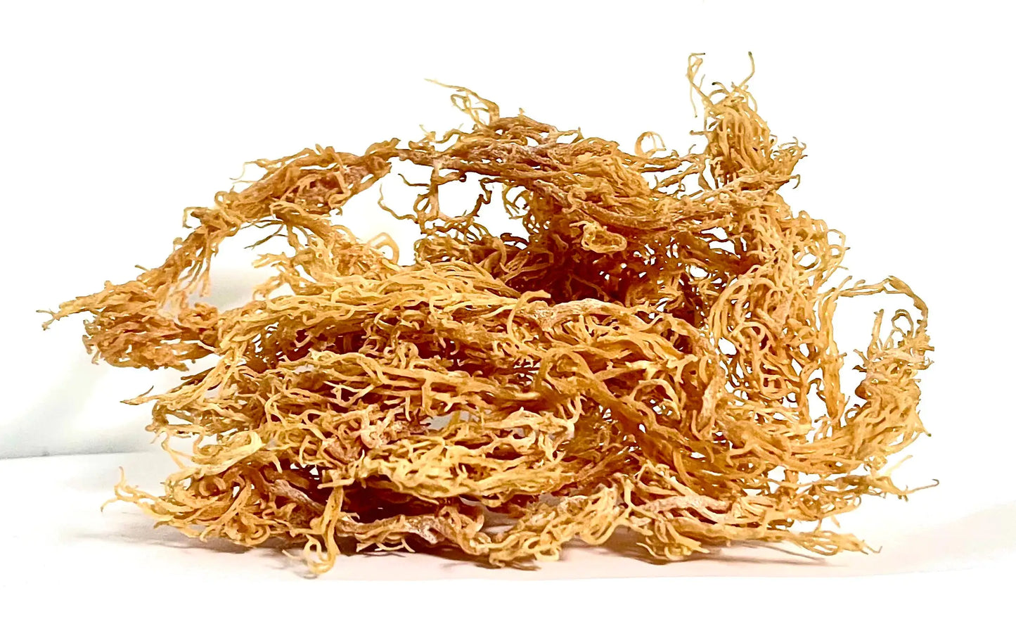 Wild Harvested Gold Raw Sea Moss