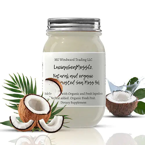 Fresh Organic Coconut Infused Sea Moss Gel